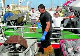 Sin contradicción en la Economía Azul