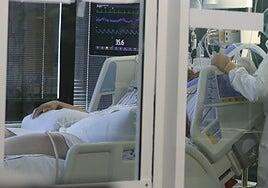 La covid sigue al alza pero «se desacelera» y golpea más a los mayores de 80