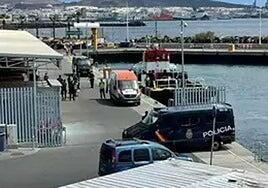 Detienen a los tripulantes de un barco de ganado en una operación antidroga en Canarias
