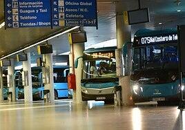 Detenidos tres jóvenes, uno menor, por robo con violencia en la estación de guaguas de San Telmo