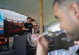 Variedades locales, viñas viejas y sabores extremos, por qué los vinos volcánicos triunfan entre los expertos