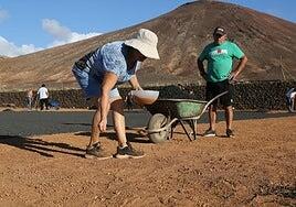 Plazo para pedir semillas de cebolla y canteros de cebollinos