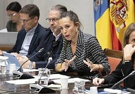 Canarias pide un pacto nacional «en defensa del turismo» frente a tantas manifestaciones