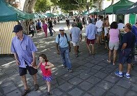 120 nuevas carpas para el mercadillo de Haría