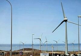 Nuevos avisos de Sanidad por calor en sureste, sur y cumbres de Gran Canaria