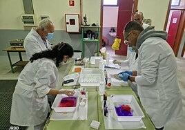 El Ciclo Superior de Vitivinicultura logra mantenerse en la isla con 10 alumnos