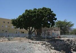 El Tablero le busca futuro a la Casa del Mato