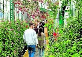 La atracción turística que abre veinte días al año