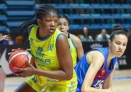 La Caja de Canarias renueva su apoyo al Spar Gran Canaria y aportará 12.000 euros