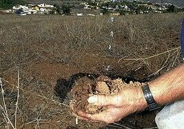 El suelo puede ser fértil durante generaciones «si se cuida bien»
