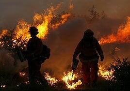 Los incendios forestales disparan las hospitalizaciones por trastornos mentales