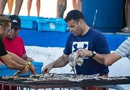 Jareas para el fin de las fiestas del Carmen en Corralejo
