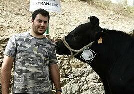 Saúl y sus vacas, en plena gira, recalan en Tunte