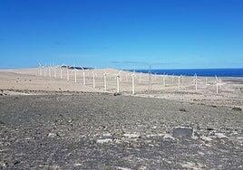 34 años bailando con el viento en Canarias