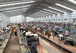 Feaga vuelve a celebrarse en abril