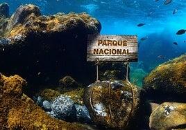 Buscando el equilibrio: un parque nacional marino que preserve la esencia herreña