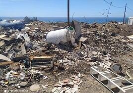 El Consejo Insular de Aguas abre la puerta a una perrera en el barranco de Balito