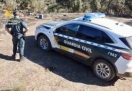 Deja morir a su perro en la casa que tenía alquilada y se lo encuentra el casero