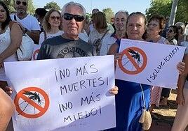 El brote del virus del Nilo en Sevilla fue detectado en junio pero no se actuó