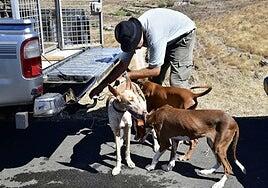 La caza menor arranca este jueves tras suspenderse la primera jornada