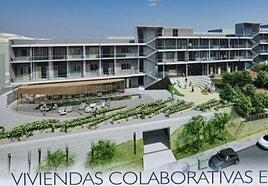 «Drástico» recorte de las subvenciones a viviendas colaborativas en Canarias