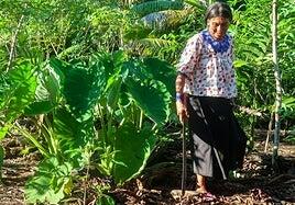 Pueblos Indígenas: claves para salvar al mundo de la crisis climática, pero escasamente escuchados