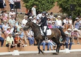 Pino Santo Alto, fiestas, caballos y un homenaje