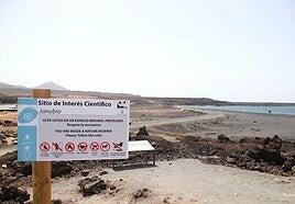 Yaiza colabora en delimitar el Sitio de Interés Científico de Janubio