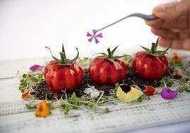 Restaurante Parque Romántico: Cocina de autor en Playa del Inglés