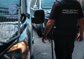 Detenido por robar en hoteles del sur de Tenerife mientras los turistas dormían