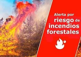 El Gobierno de Canarias declara la alerta por riesgo de incendios forestales