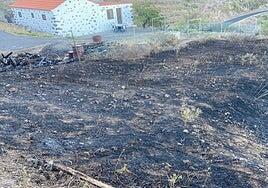 Extinguen un conato de incendio en La Gomera