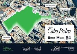 Encuesta sobre el uso del solar de Cabo Pedro