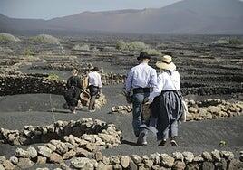 La vendimia se culminará con apenas 1,3 millones de kilos de fruta