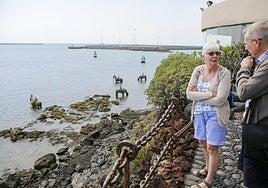 El Cabildo pide reponer los caballos de Jason deCaires en Arrecife