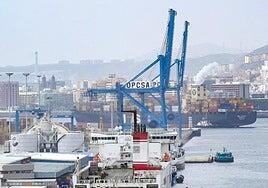 El Colectivo Canarias con Palestina denuncia el uso del Puerto para el tránsito de armas hacia Israel