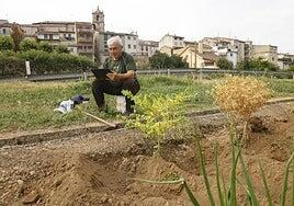 La conexión rápida a internet se extiende a cada rincón de la España vaciada gracias a los satélites