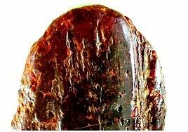 Una anciana utilizó un ámbar de un millón de euros como soporte de puerta en su casa de Rumanía