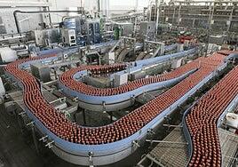 Cervecera de Canarias invierte 8,4 millones de euros en actuaciones de modernización en el año 2023