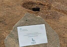 Pájara se adhiere a la campaña europea a favor de la reforestación