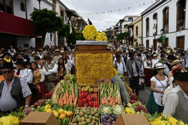 35.000 personas en la romería del Pino más multitudinaria desde la pandemia
