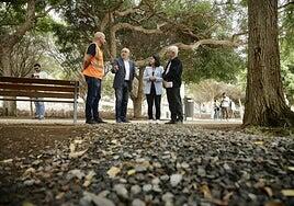 El Juan Pablo II estrena caminos alrededor de sus 1.150 árboles y sus 700 palmeras