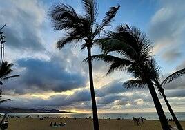 El alisio reaparece con fuertes vientos, descenso de temperaturas y probabilidad de lloviznas