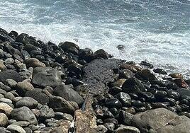 Santa Lucía requiere a una veintena de vecinos de Playa del Yodo la licencia de alcantarillado