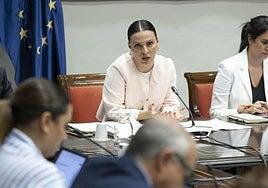 Las universidades se abren a instalar centros en islas no capitalinas