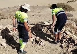 Limpieza de restos de fogatas en el litoral de La Oliva