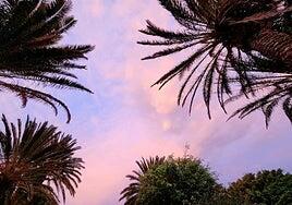 El tiempo estable reina en Canarias, con un leve descenso de las temperaturas mínimas