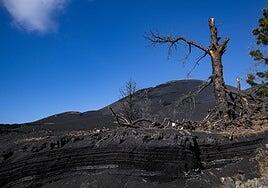 Un afectado denuncia por estafa a una empresa constructora