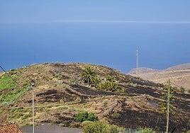 La ruralidad, una oportunidad para la diversificación