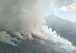 Condenado a cinco años de cárcel el autor del incendio forestal de Los Realejos